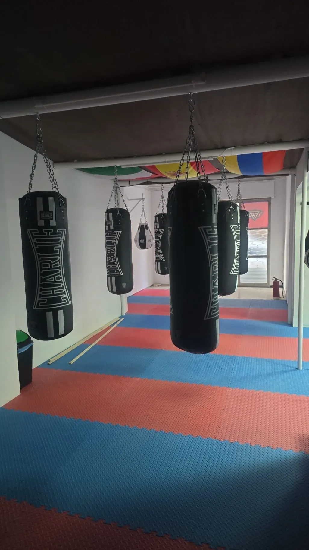 Liz Boxing — clases