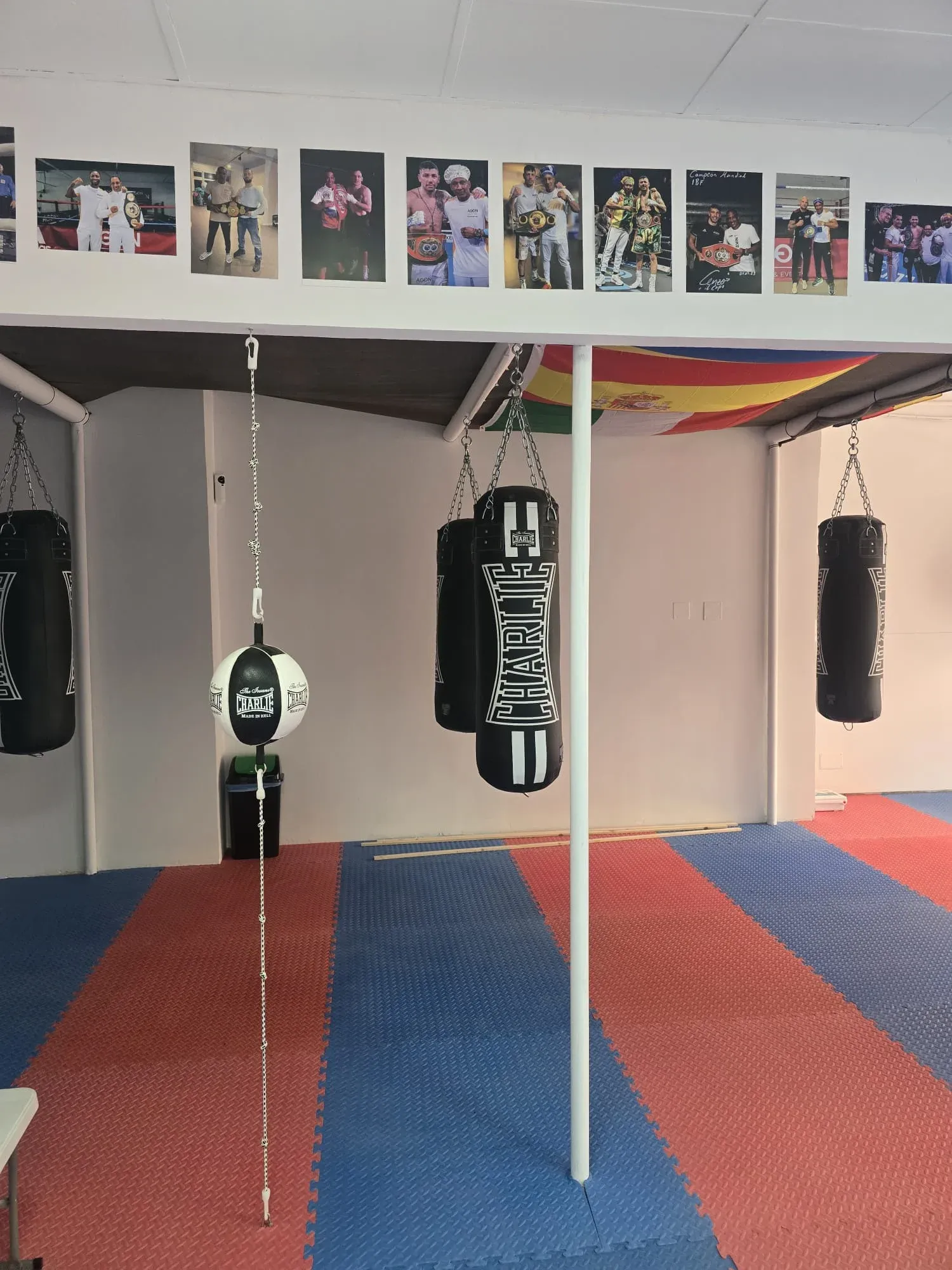 Liz Boxing — gimnasio interior