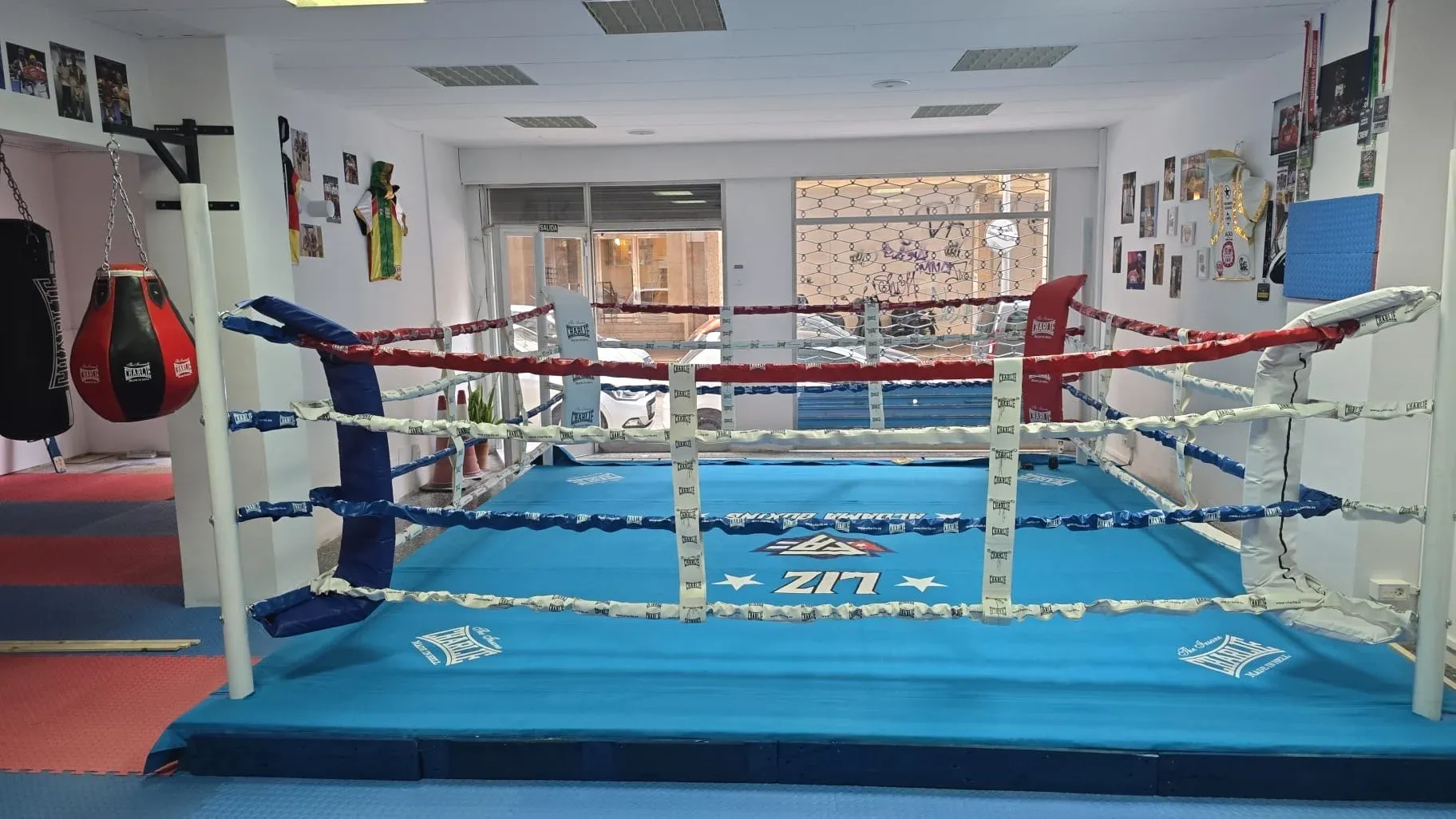 Liz Boxing — sacos de boxeo