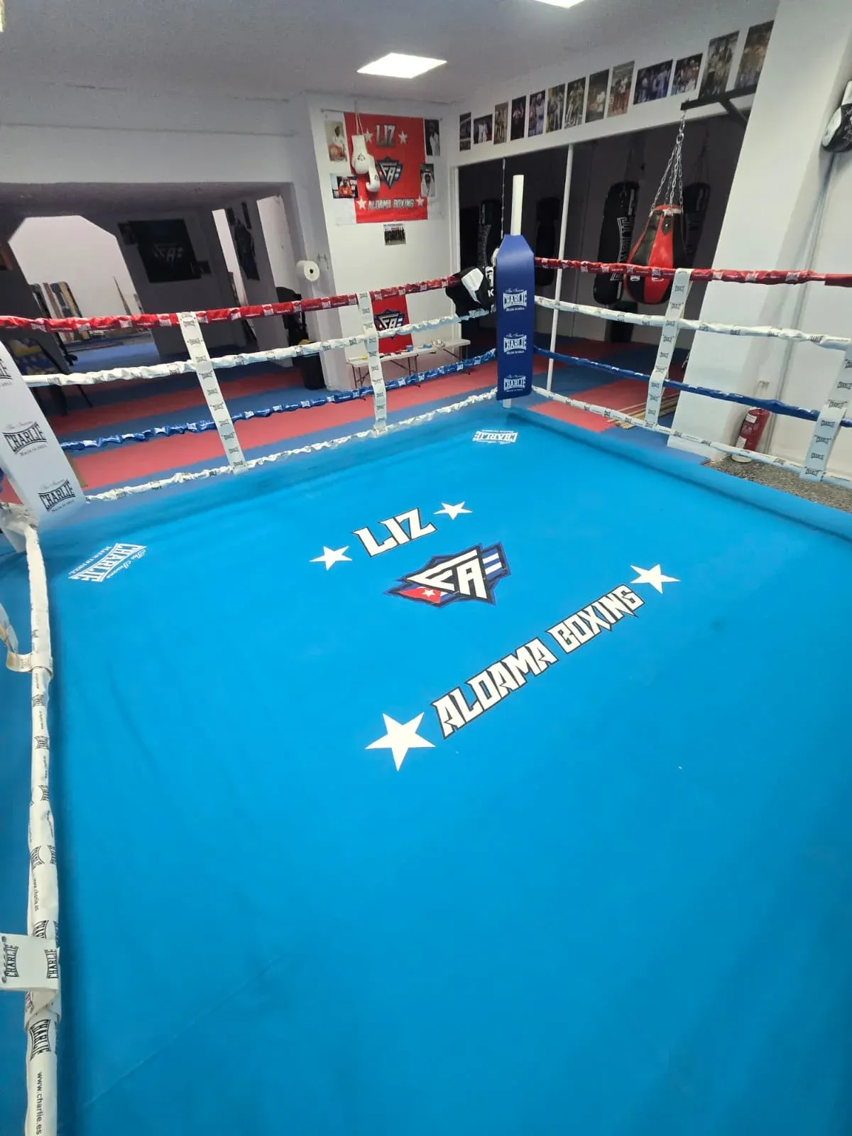 Liz Boxing — entrenamiento personal